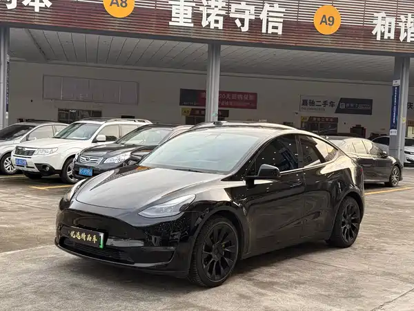 Tesla Model Y 2021
