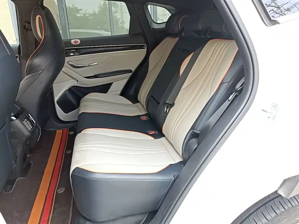 BYD PLUS New Energy 2022 — фото 17