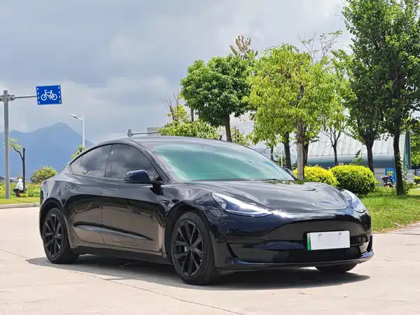 Tesla Model 3 2021