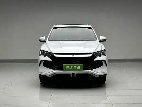 BYD Song Pro New Energy 2024