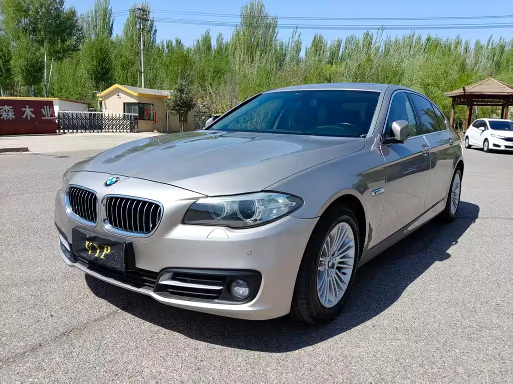 BMW 5 Series 2015 — фото 1