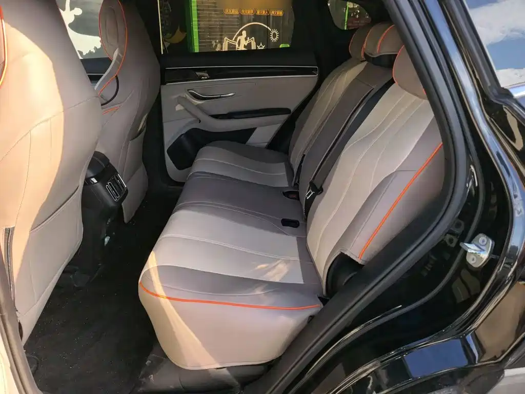 BYD Song PLUS New Energy 2022 — фото 22