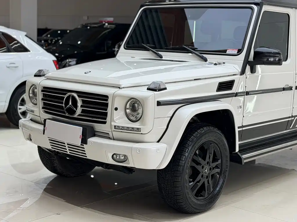 Mercedes-Benz G-Class 2016 — фото 4