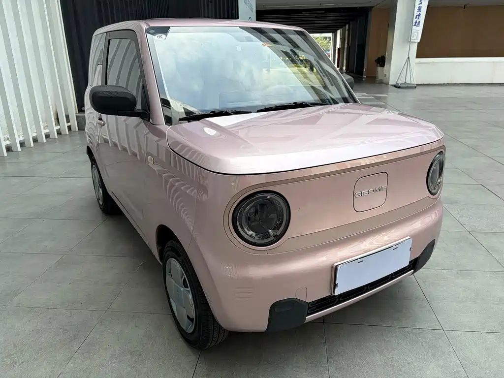 Geely Galaxy Panda 2024 — фото 15