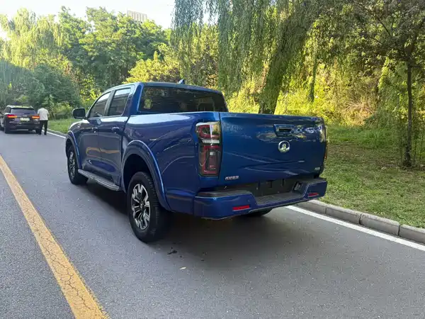 Great Wall Poer 2020