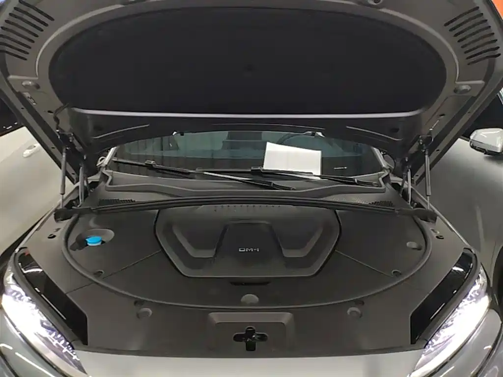 BYD PLUS New Energy 2024 — фото 20