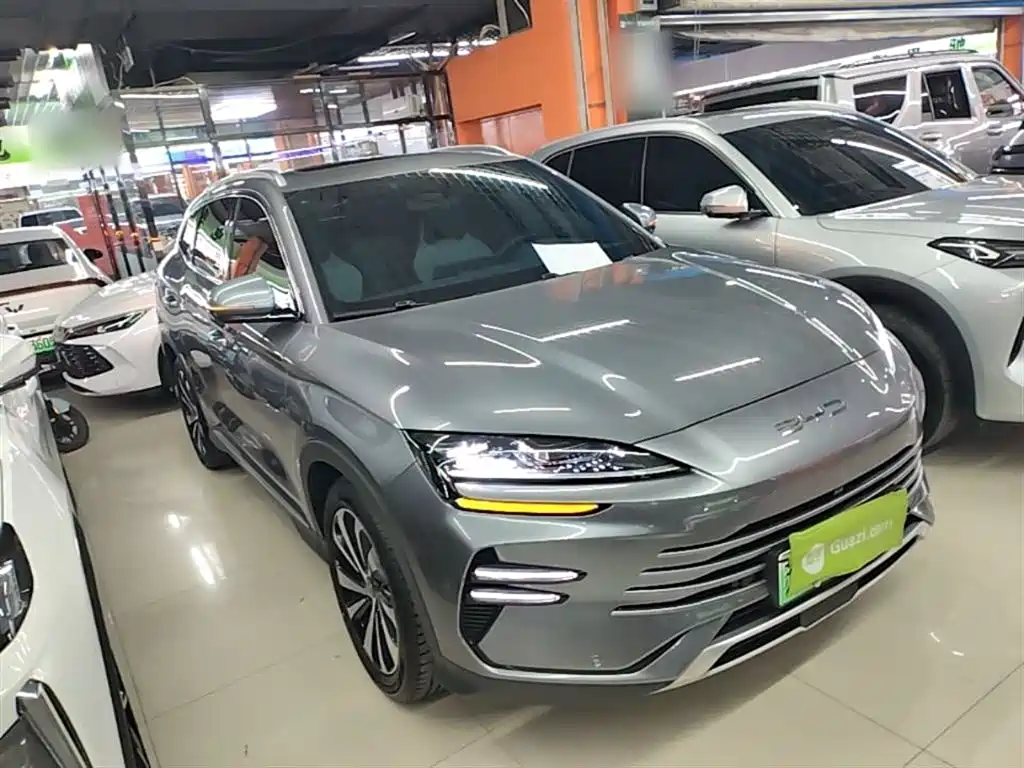 BYD PLUS New Energy 2024 — фото 4