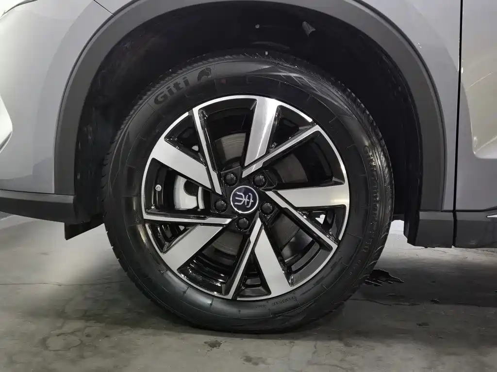 BYD Song Pro New Energy 2024 — фото 17