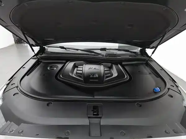 Hongqi HS7 2019