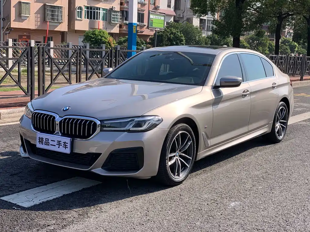 BMW 5 Series 2021