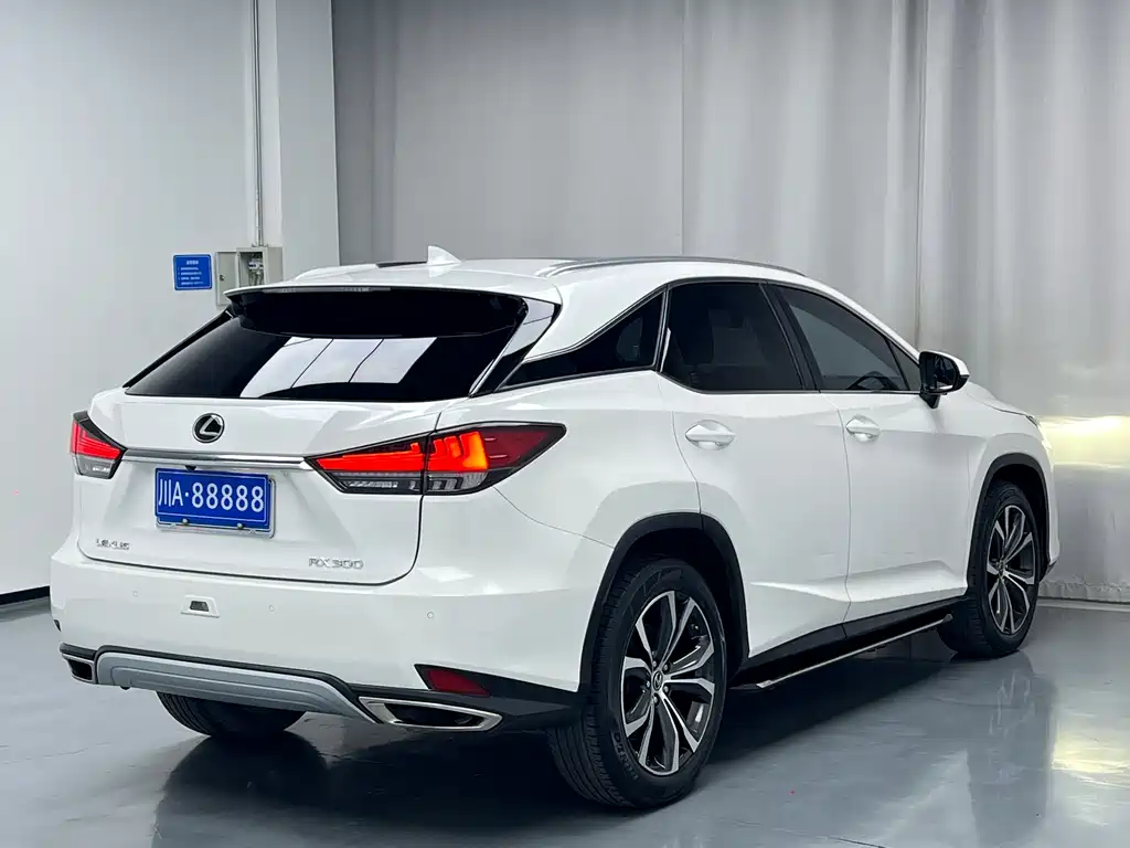 Lexus RX 2019 — фото 16
