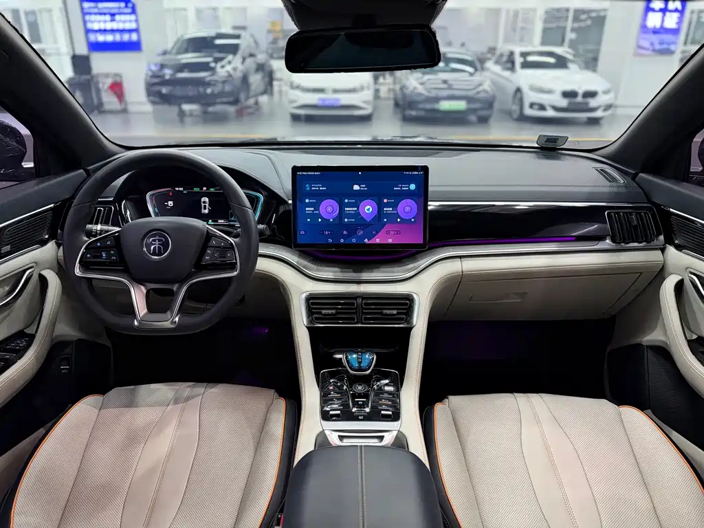 BYD PLUS New Energy 2021 — фото 11