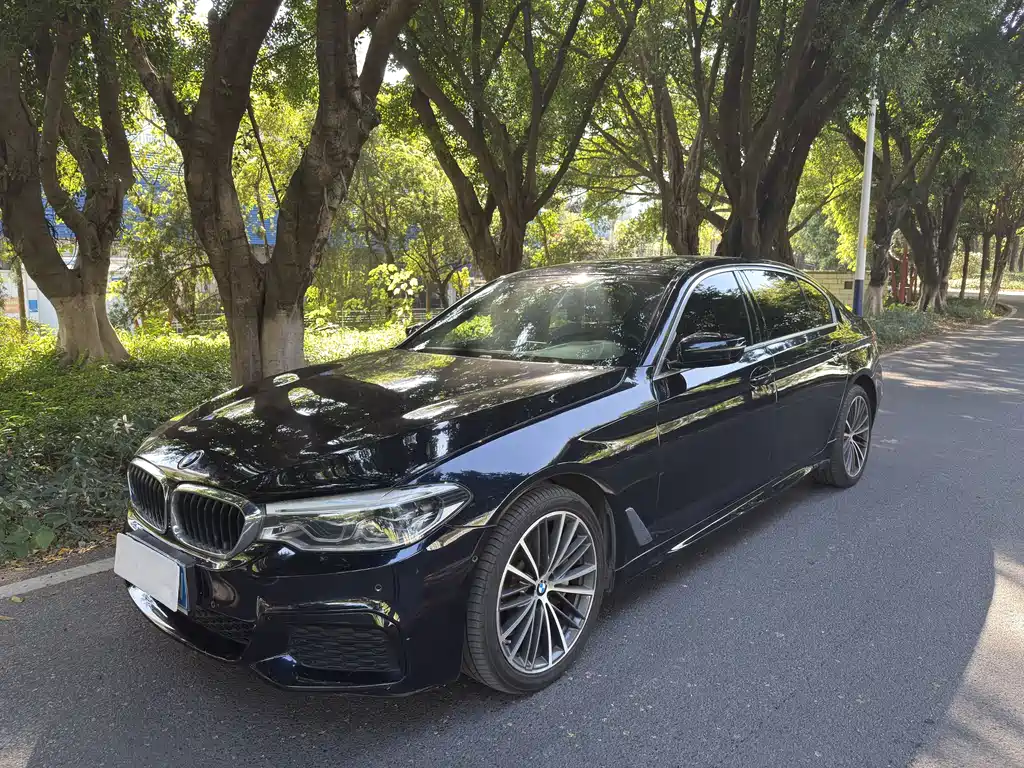 BMW 5 Series 2020 — фото 1