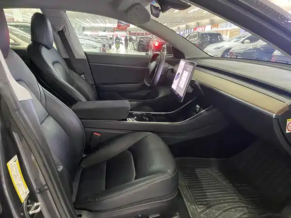 Tesla Model 3 2019