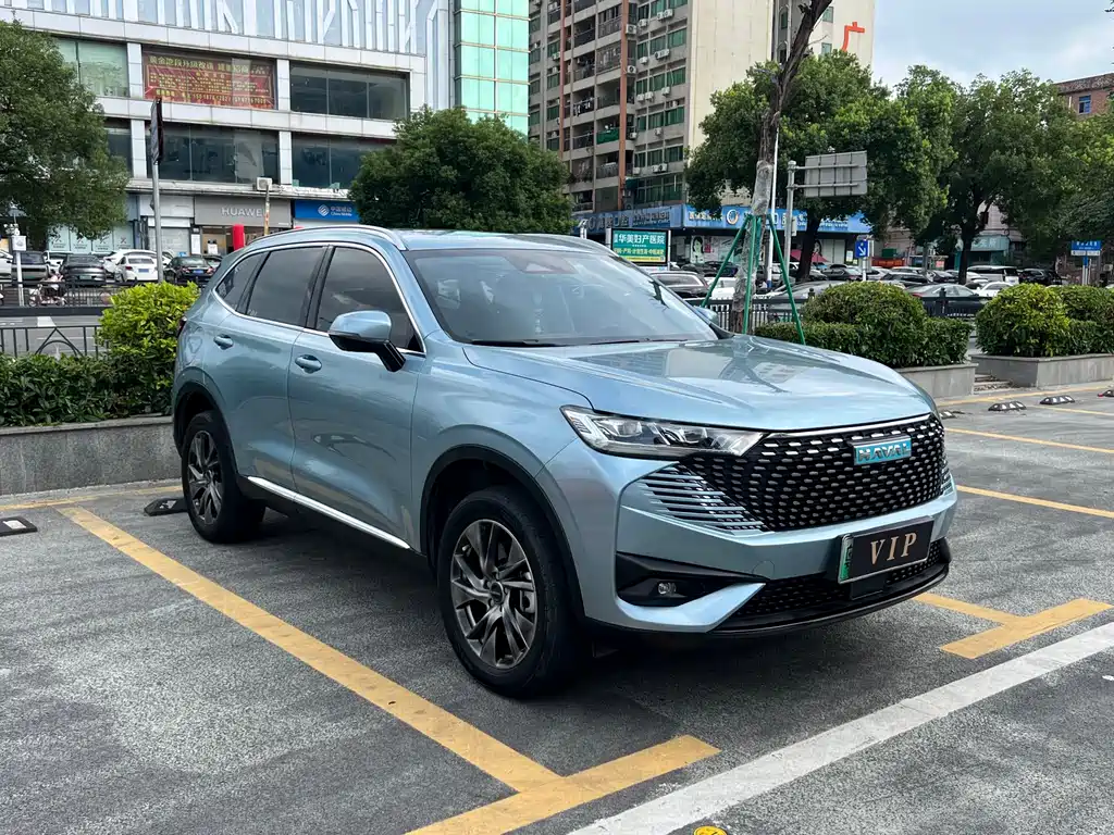Haval H6 New Energy 2023 — фото 3