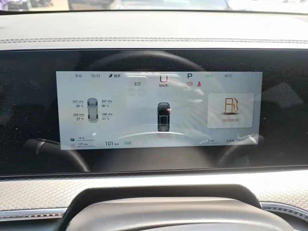 BYD Pro New Energy 2025 — фото 12