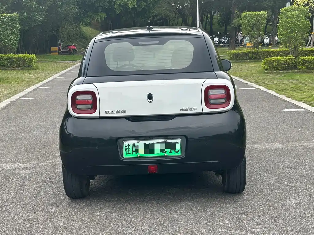 Ora Black Cat 2021