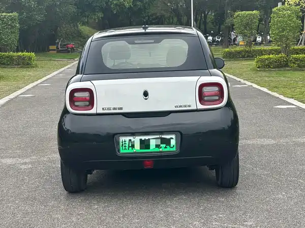 Ora Black Cat 2021