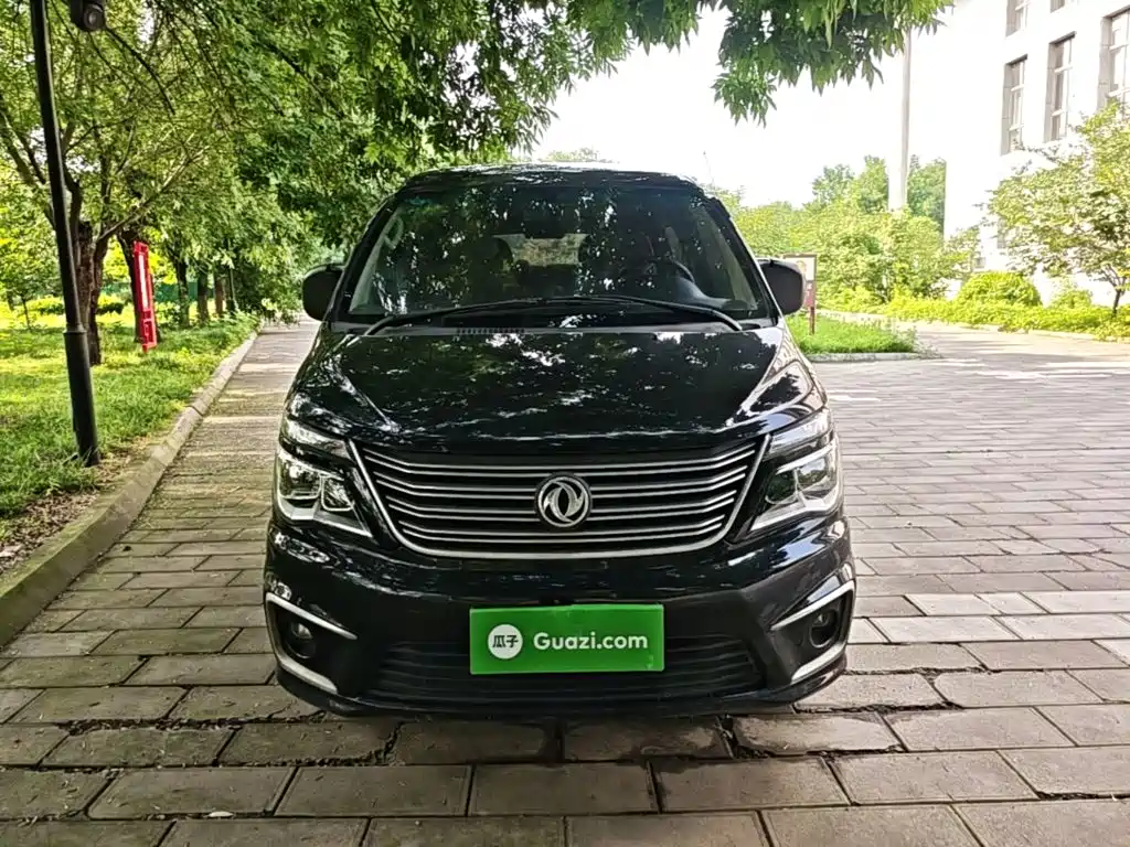 Fengxing Lingzhi 2020