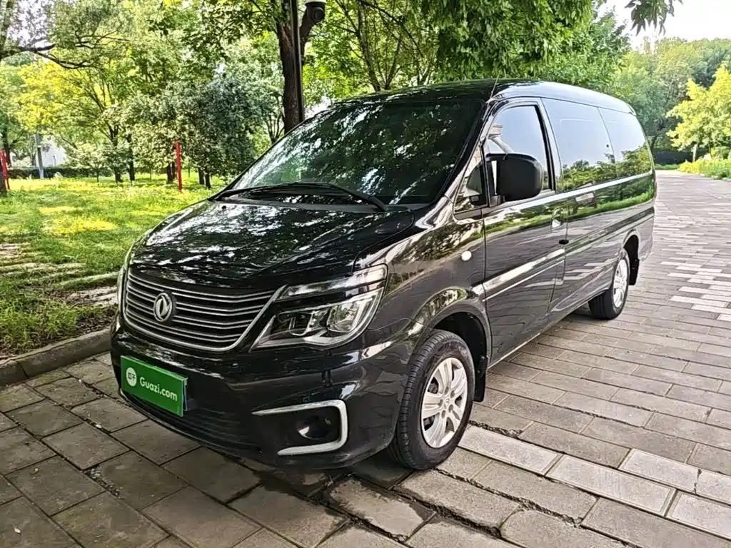 Fengxing Lingzhi 2020