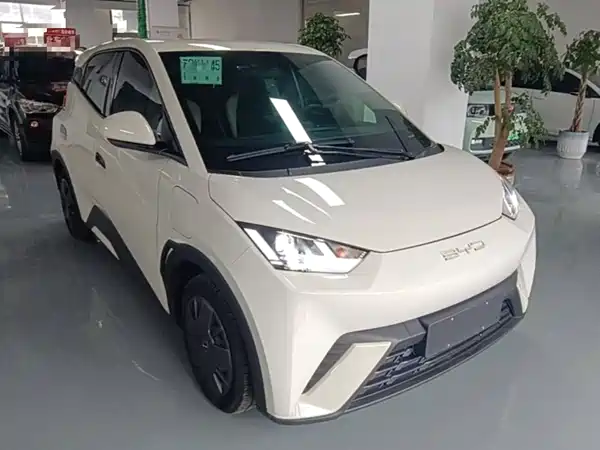 BYD Seagull 2024