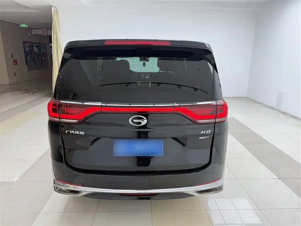 GAC Motor Trumpchi M8 2023 — фото 28