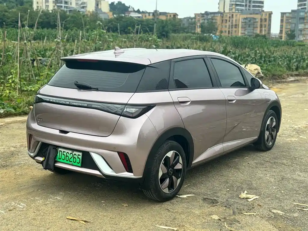 BYD Dolphin 2025 — фото 4