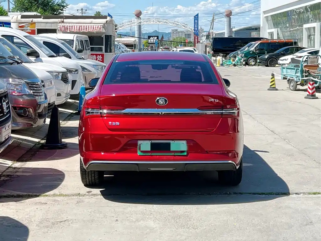 BYD Qin Pro NEV 2020 — фото 3