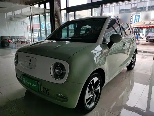 Ora Black Cat 2022