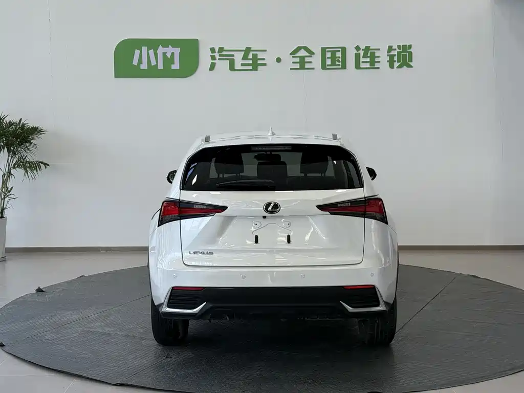 Lexus NX 2020 — фото 3