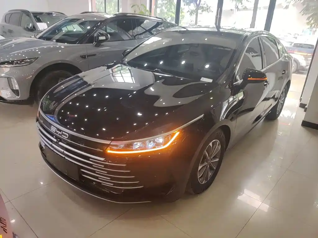 BYD Destroyer 05 2024