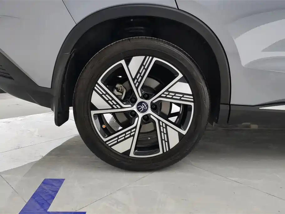 BYD Pro New Energy 2024 — фото 6
