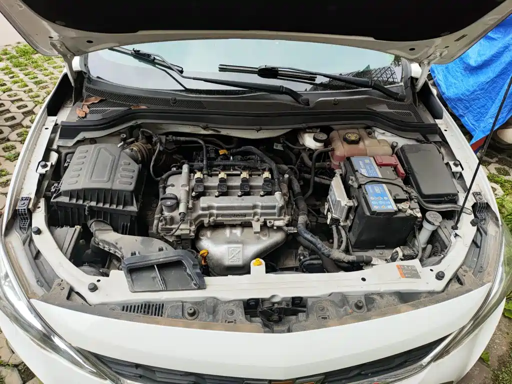 Chevrolet Cavalier 2018 — фото 11