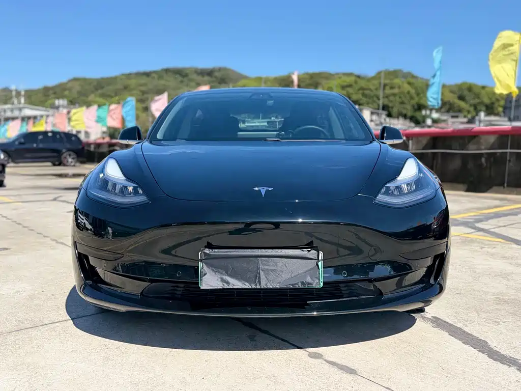 Tesla Model 3 2020 — фото 2