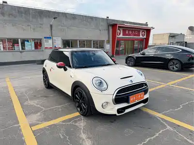MINI MINI 2014