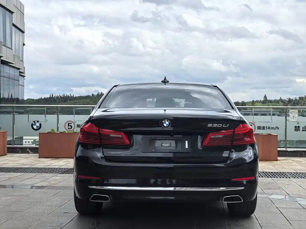 BMW 5 Series 2019 — фото 8