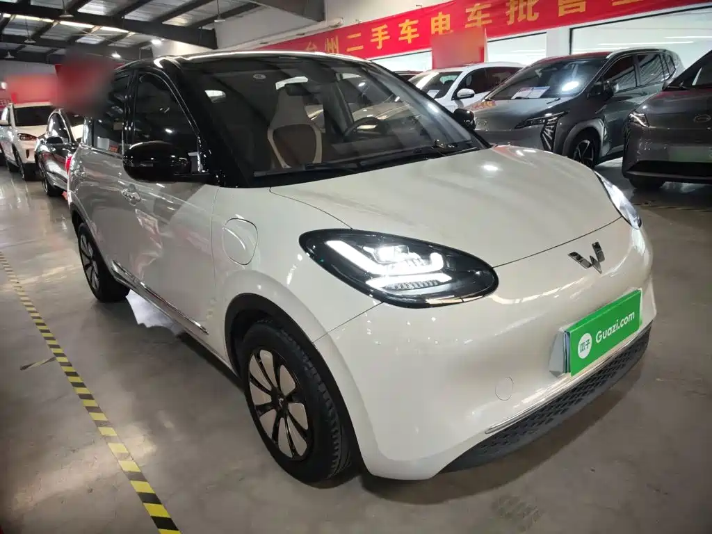 Wuling Bingo 2024