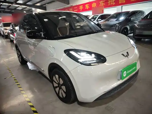 Wuling Bingo 2024
