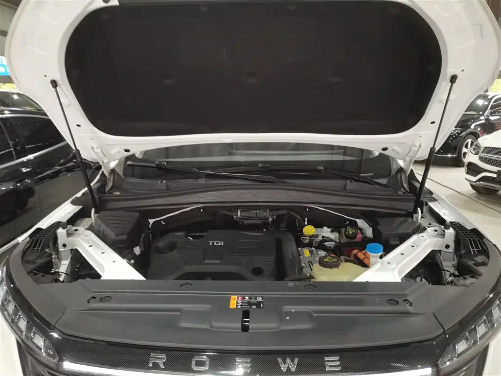 Roewe RX5 eMAX 2022 — фото 20