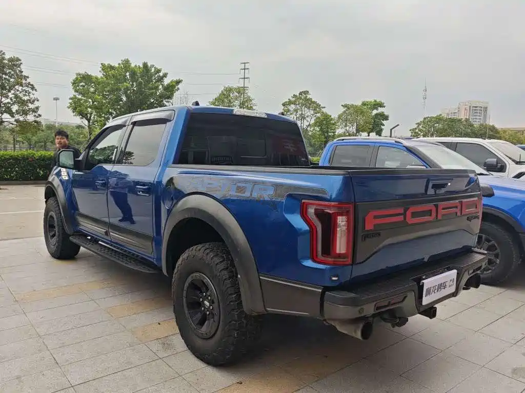 Ford F-150 Raptor 2019 — фото 9