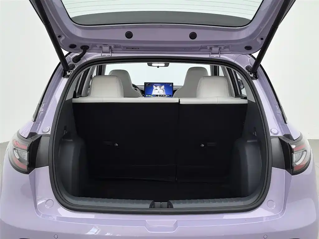Geely Galaxy Starwish 2025 — фото 16