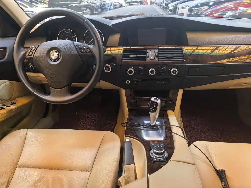BMW 5 Series 2010