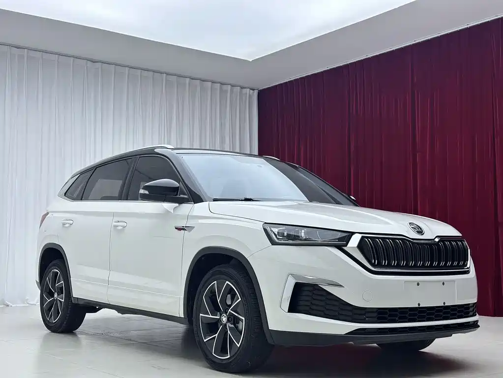 Skoda Kamiq 2022 — фото 3