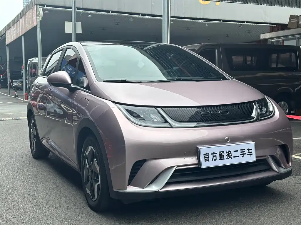 BYD Dolphin 2022