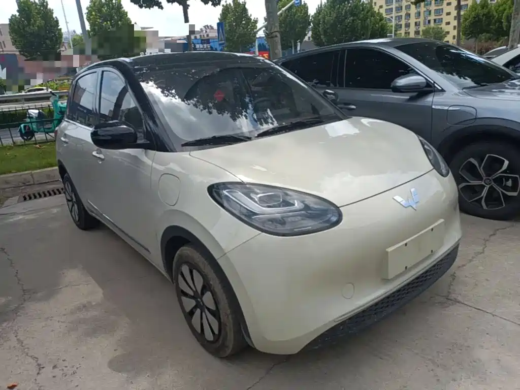 Wuling Bingo 2024