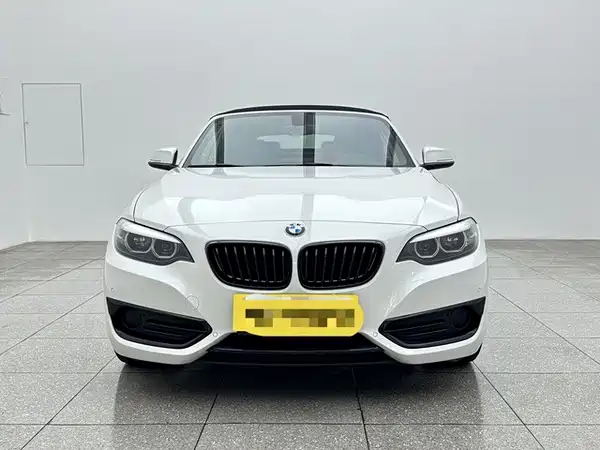 BMW 2 Series 2019