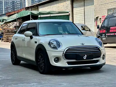 MINI MINI 2021
