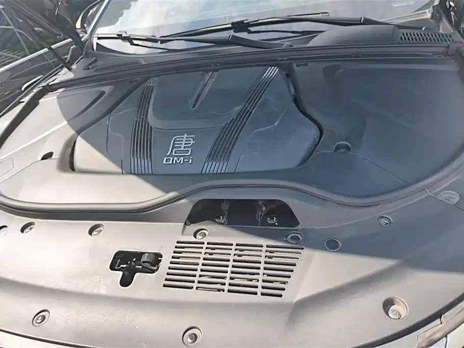 BYD Tang New Energy 2024 — фото 10