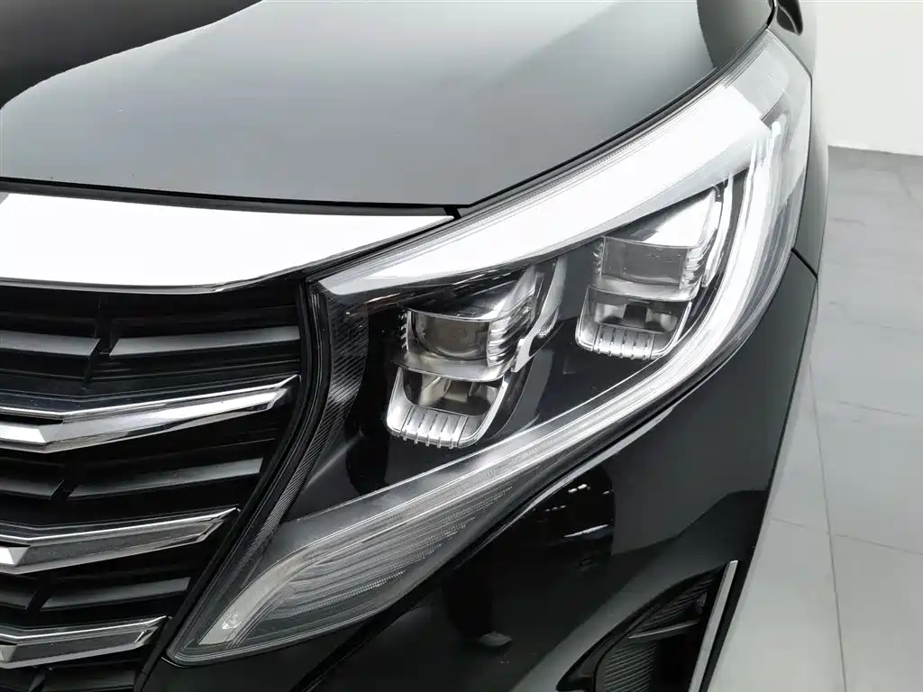 GAC Motor Trumpchi M8 2023 — фото 7