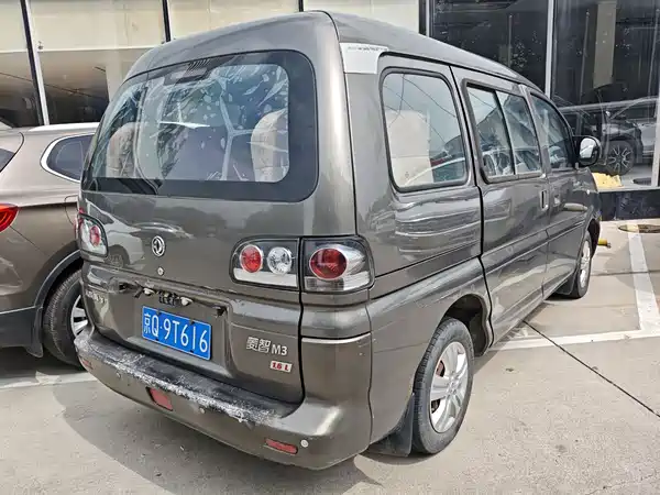 Dongfeng Lingzhi 2013